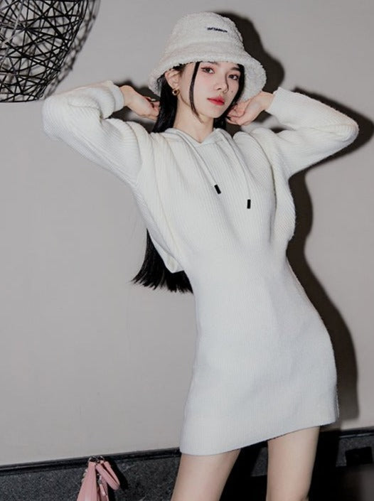 Hoodie Knit Dress - ロングワンピース/マキシワンピース