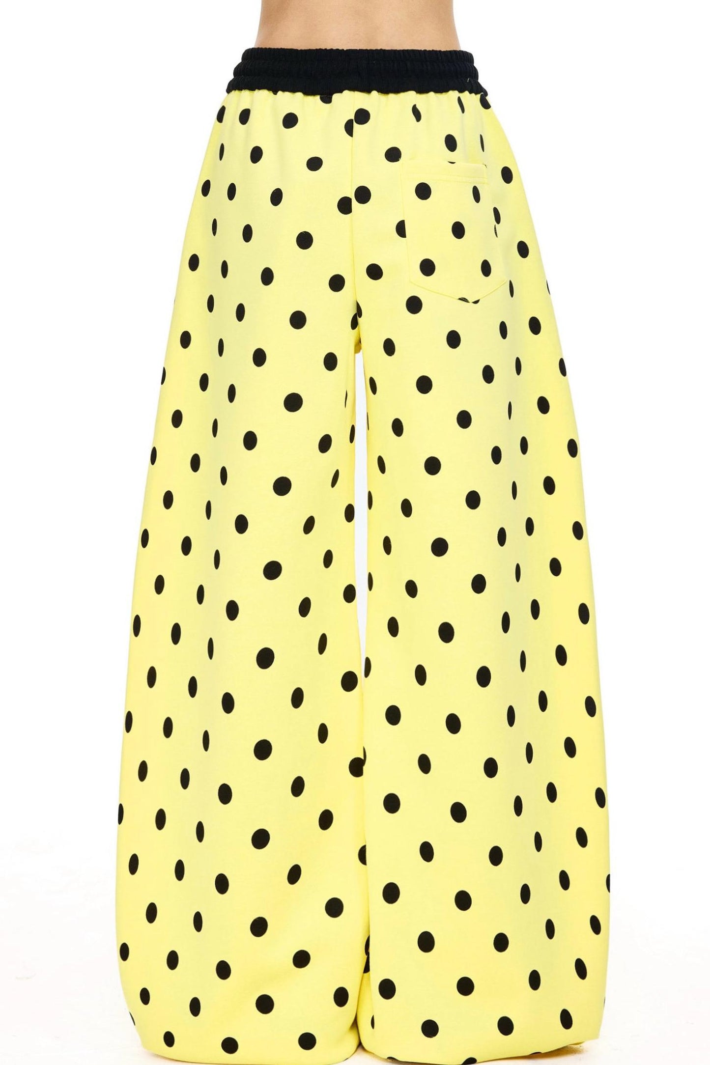 Anime Illustration Dot Wide Leg Pants