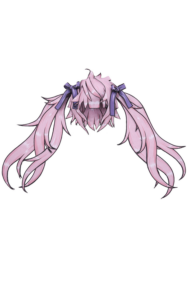 Double Ponytail Hat Wig