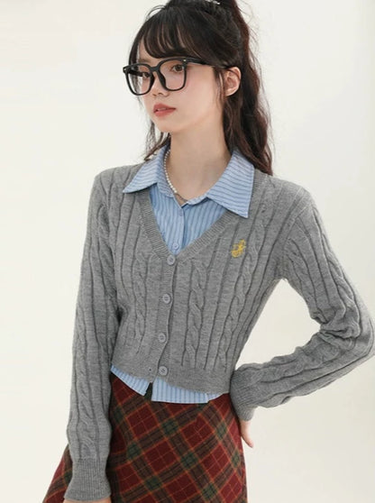 College Style Cable Slim V-Neck Sweater