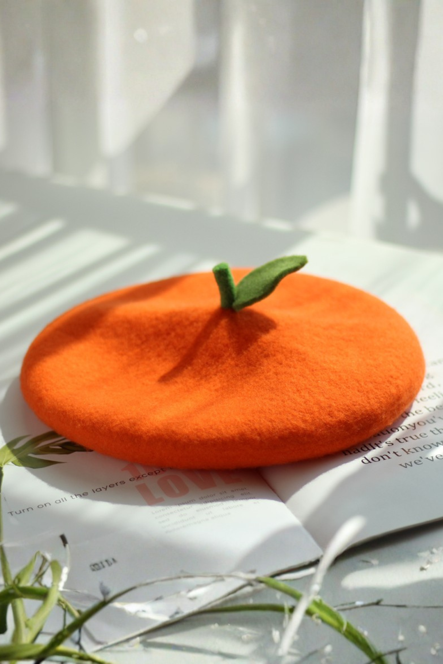 フルーツフェルトベレー帽