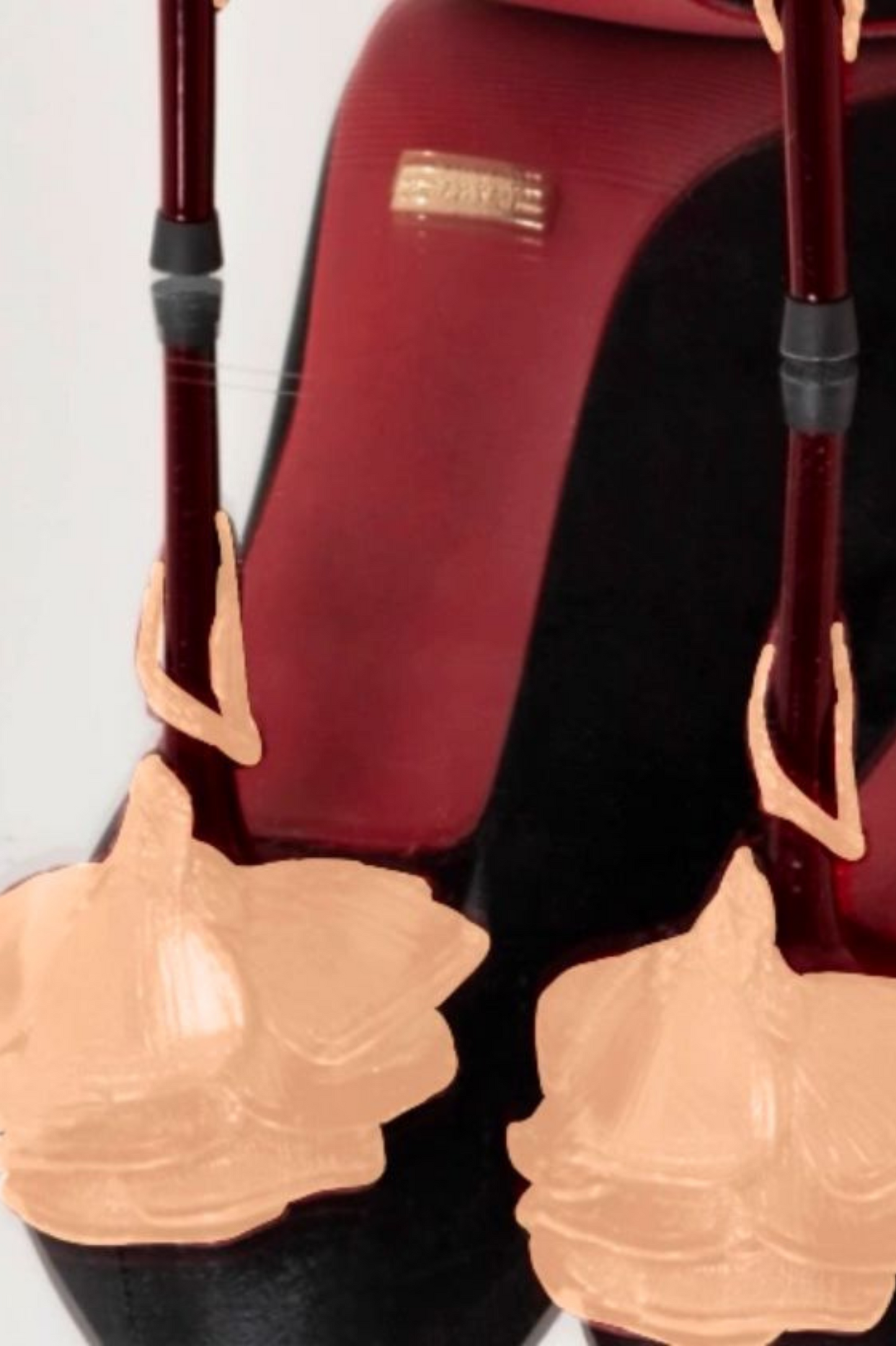 Rose Elegance Pointed Heels