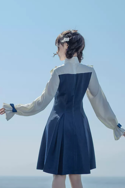 Frill one piece dress online