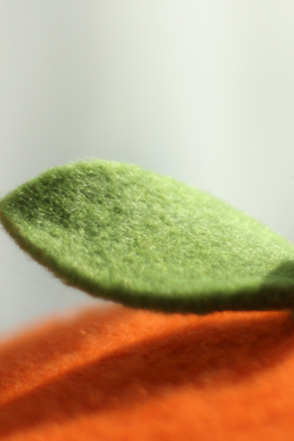 フルーツフェルトベレー帽