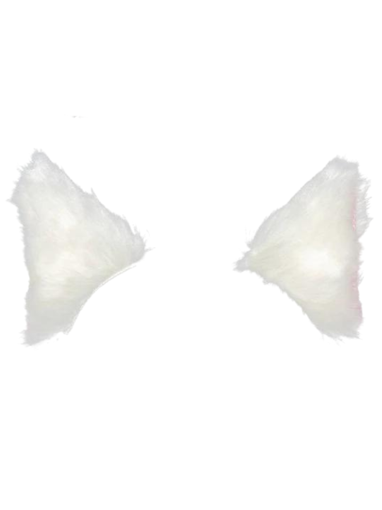 Fur Cat Hair Accessories