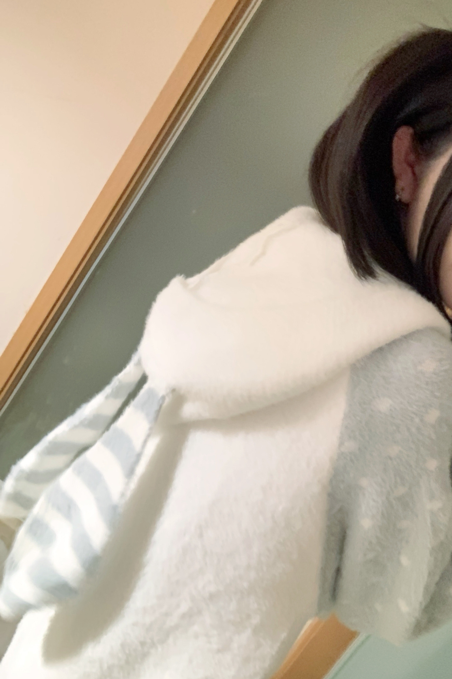 ボーダードットラビットフードニットパーカー