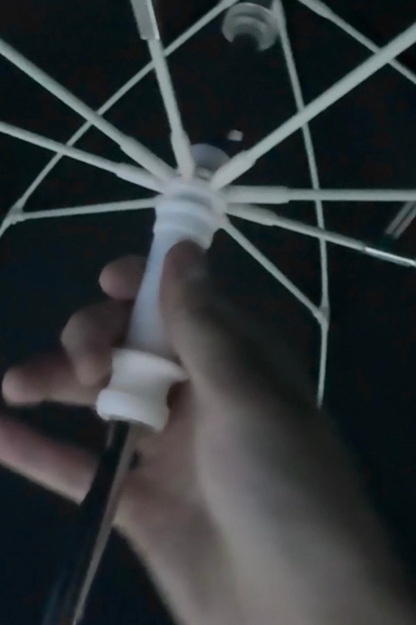 Agent Rabbit Umbrella