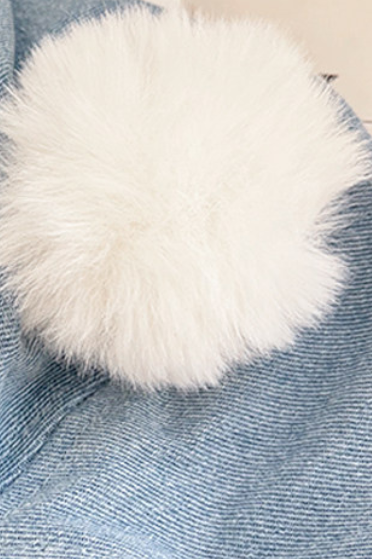 Bear Ear Plaid Beret