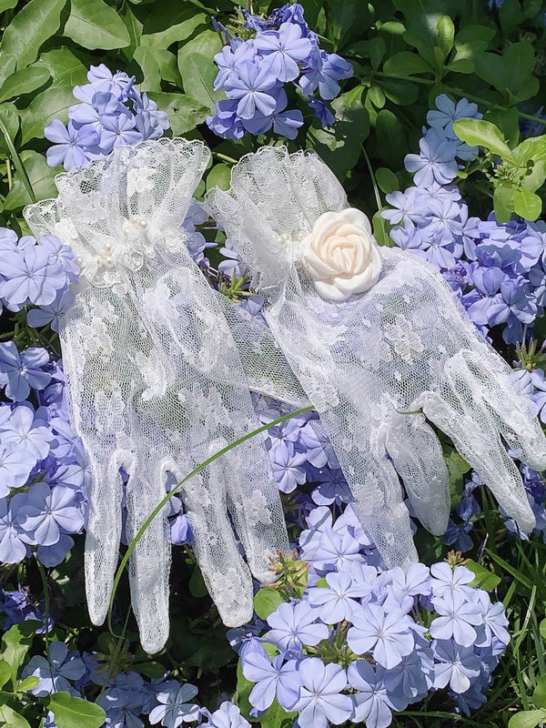 [Order Deadline: December 30] Sun and Moon Poem Oil Paint Elegant Rose Dress Complete Set