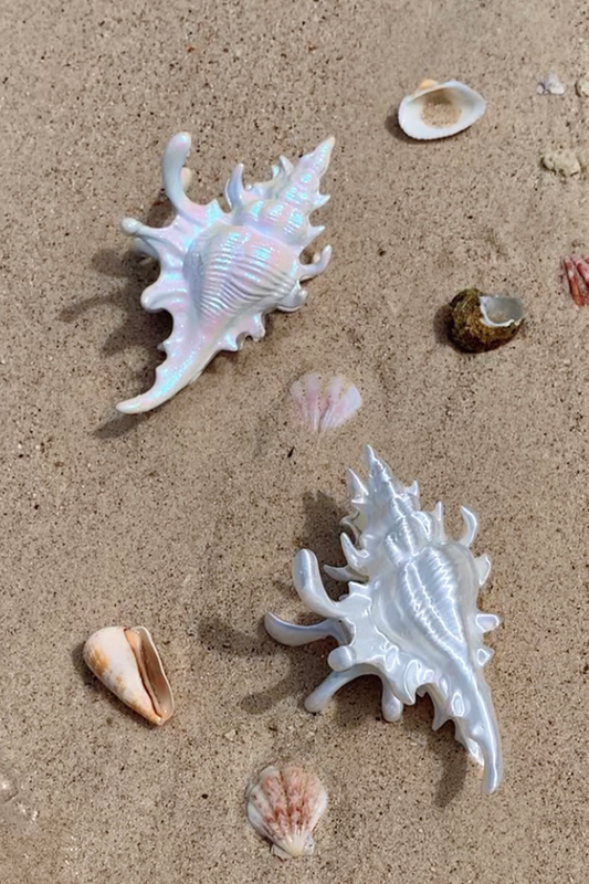 シーヴィーナスヘアークリップ