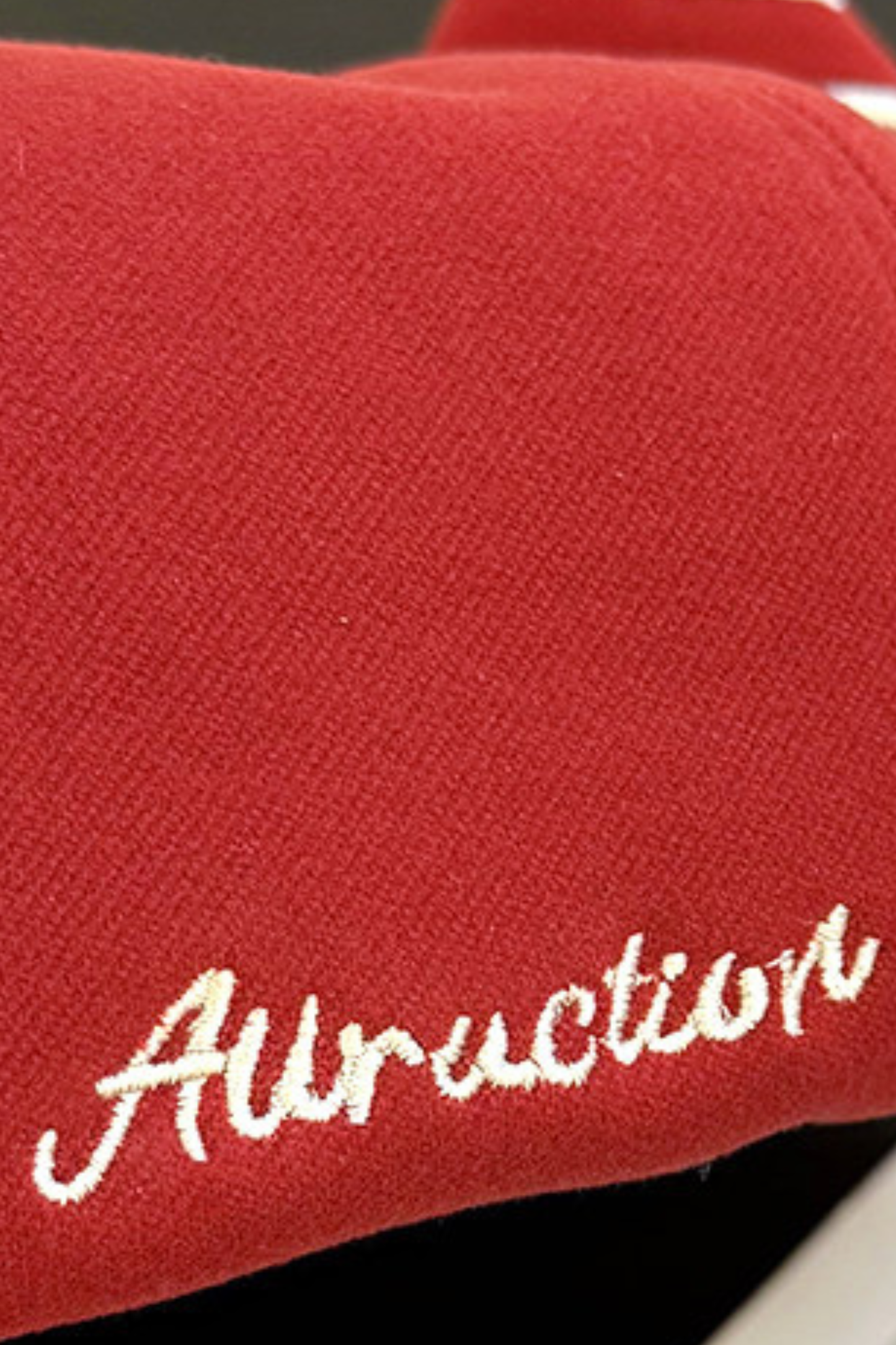 Cat Ear Embroidery Beret