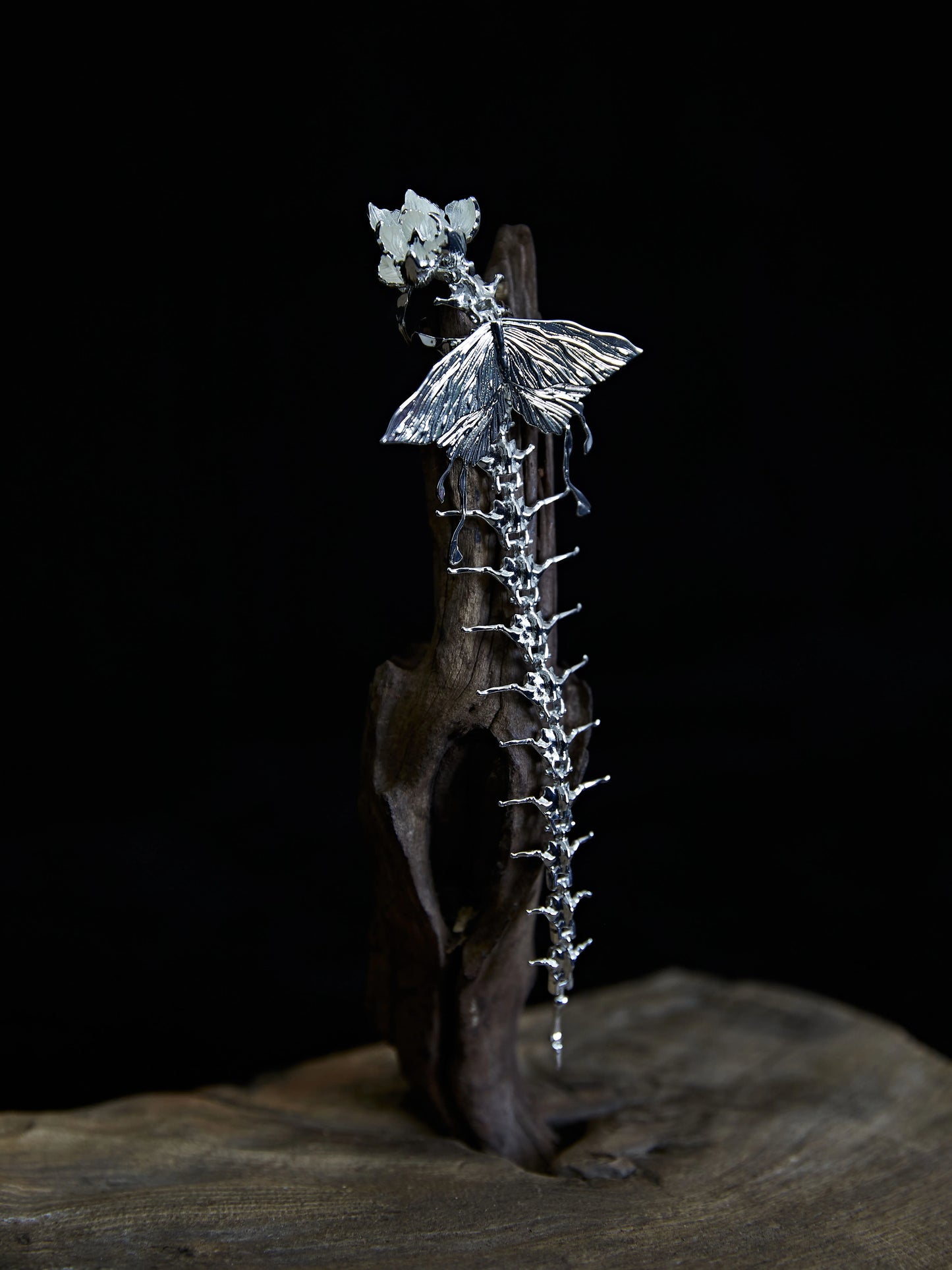 Skeleton Star Ring Silver