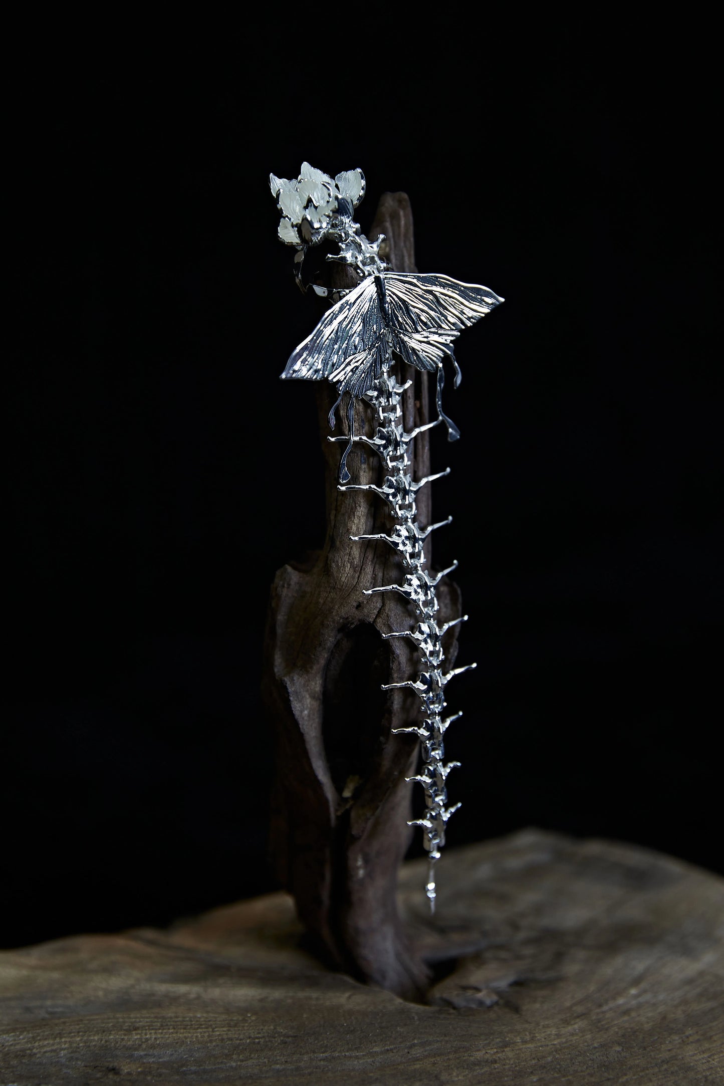 Skeleton Star Ring Silver