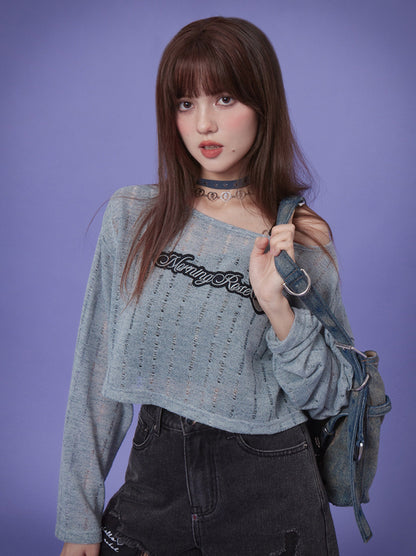 Mist Rose Gray Blue Cropped Sheer Knit