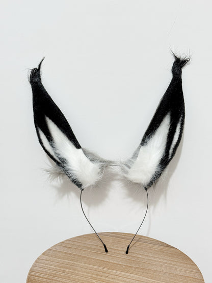 Rabbit Magic Prince Setup + Bunny Ear Head Band