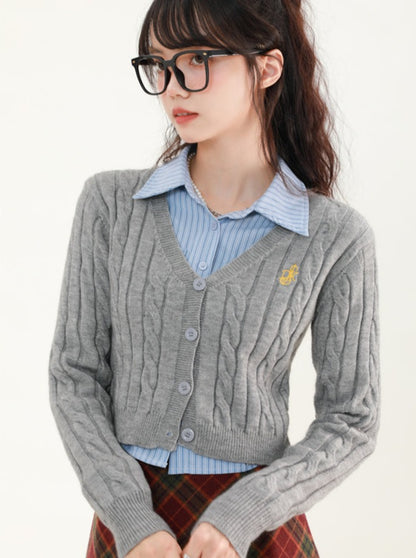 College Style Cable Slim V-Neck Sweater