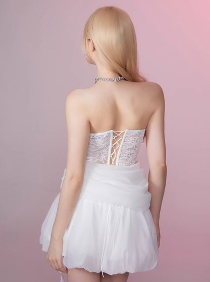 Swan Lace Princess Fluffy Mesh Bustier Dress