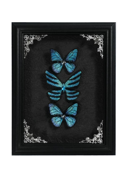 [Vorbestellschluss: 10. Monat, 14. Tag] Schwarz/Weiß Gothic-Lolita-Schmetterlingsschleifen-Serie Accessoires(Haube/Spitzen-Kopfschmuck KC/KC/4 Arten von Fotorahmen/Fotorahmen-Set)