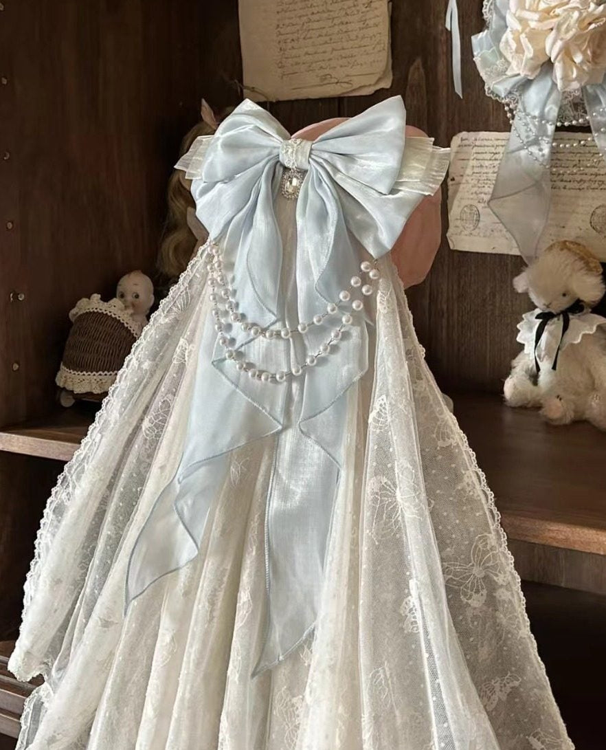 【2月5日予約締切】ロマンティックローズエレガントプリンセスドレス＋アクセサリー