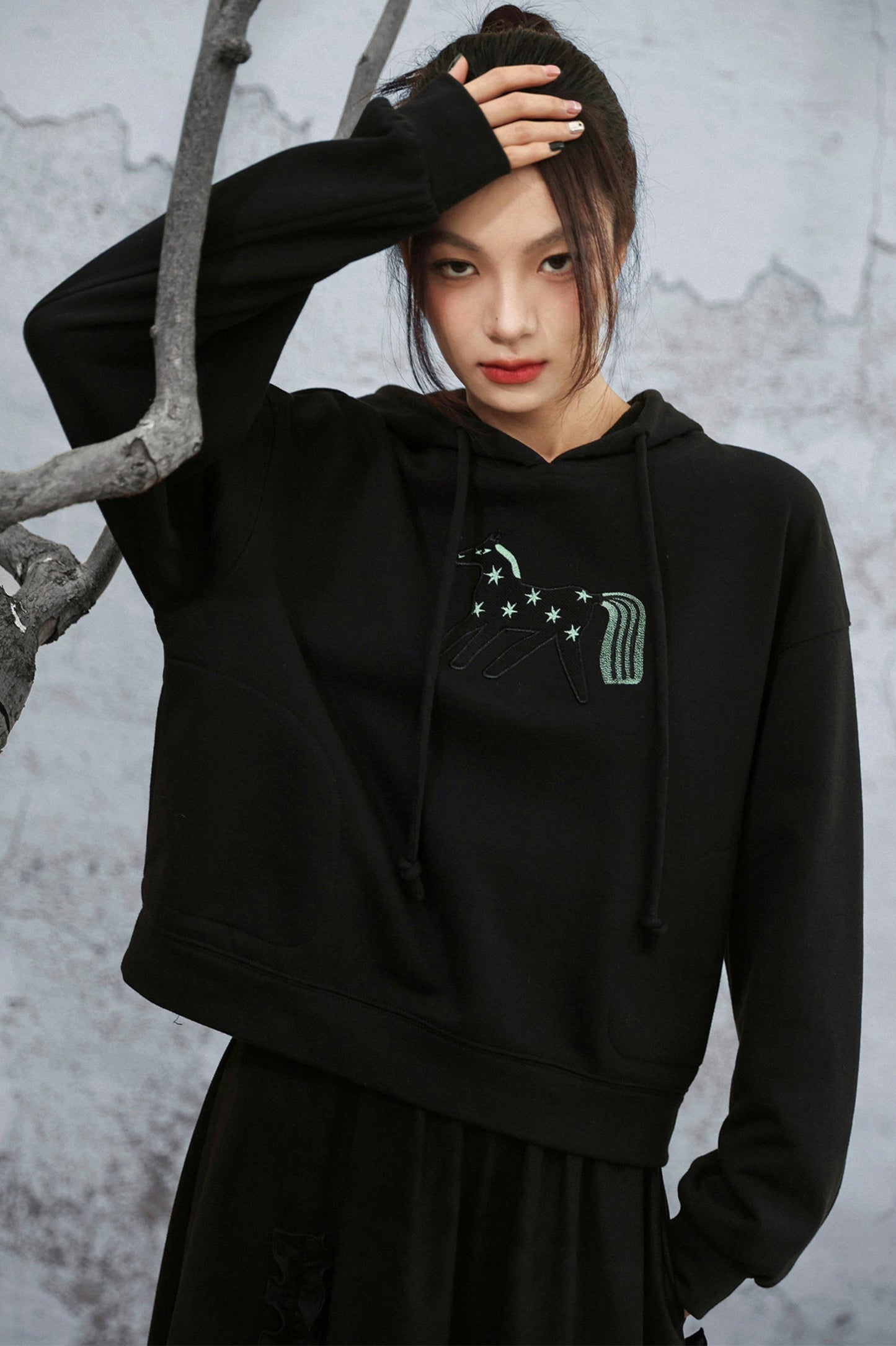 リトルホースフードトップス