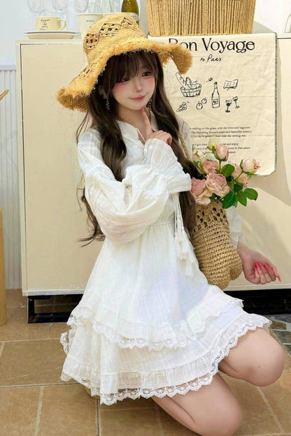 Elegant Lace Garden Dress