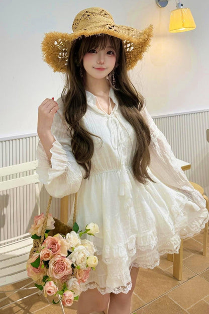 Elegant Lace Garden Dress