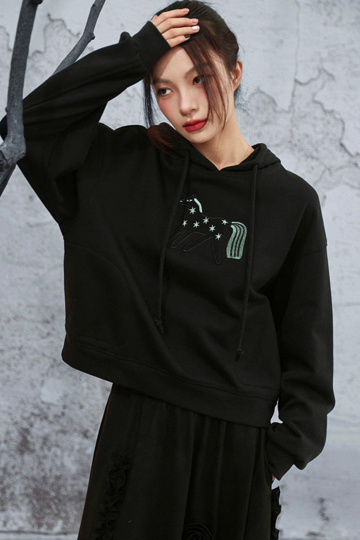 リトルホースフードトップス