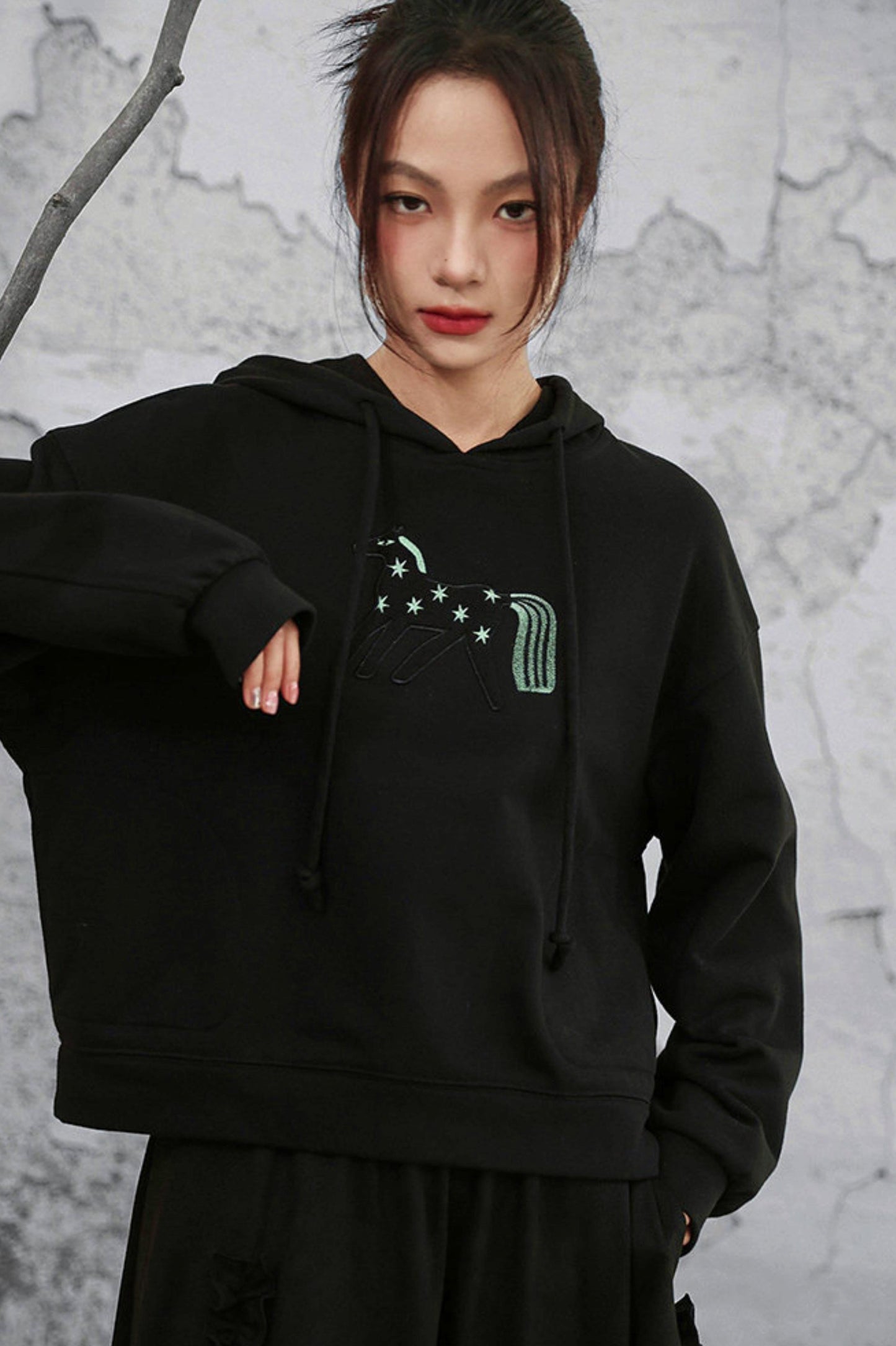 リトルホースフードトップス