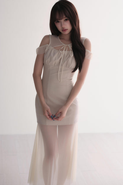 Elegant Sheer Layered Maxi Dress