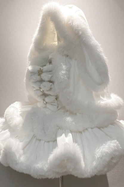 Snow Bunny Princess Dress