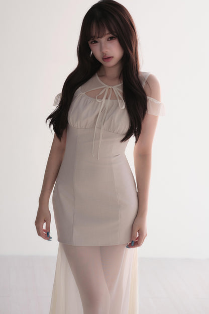 Elegant Sheer Layered Maxi Dress