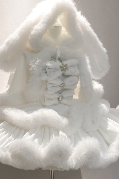Snow Bunny Princess Dress
