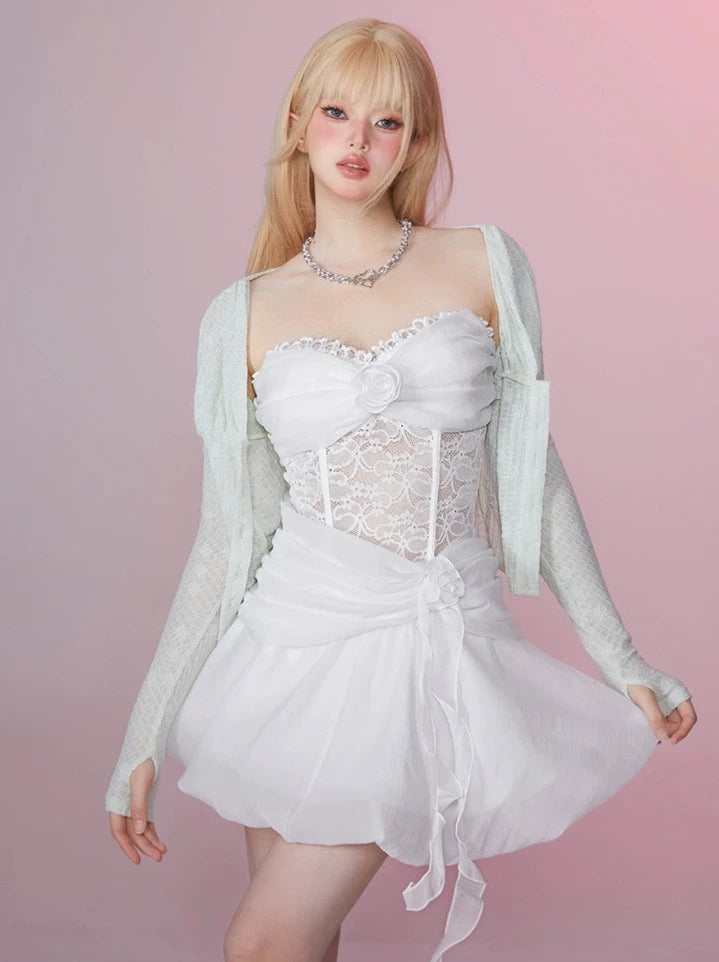 Swan Lace Princess Fluffy Mesh Bustier Dress