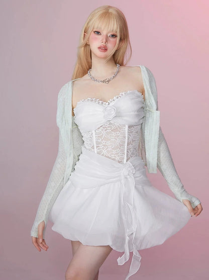 Swan Lace Princess Fluffy Mesh Bustier Dress