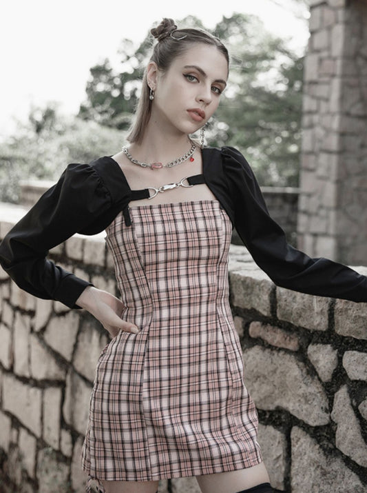 닥신플레이트카우데이간쇼울 