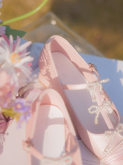 Ribbon Fairy Style Shoes