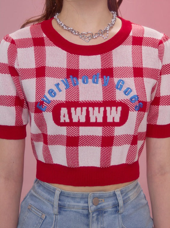 American Check Knit Top