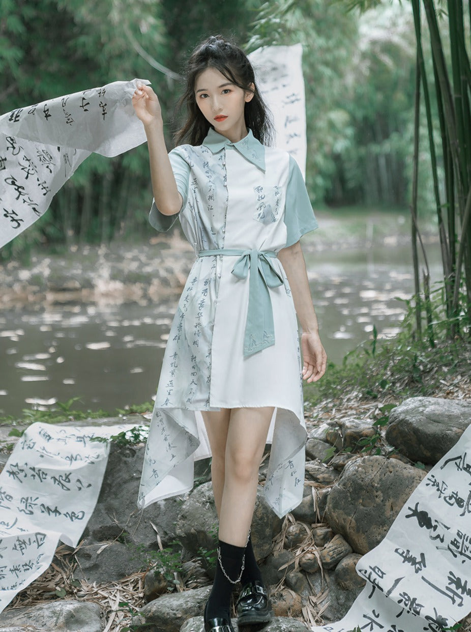 Irregular Color Asymmetric Design A Line Dress – Belchic